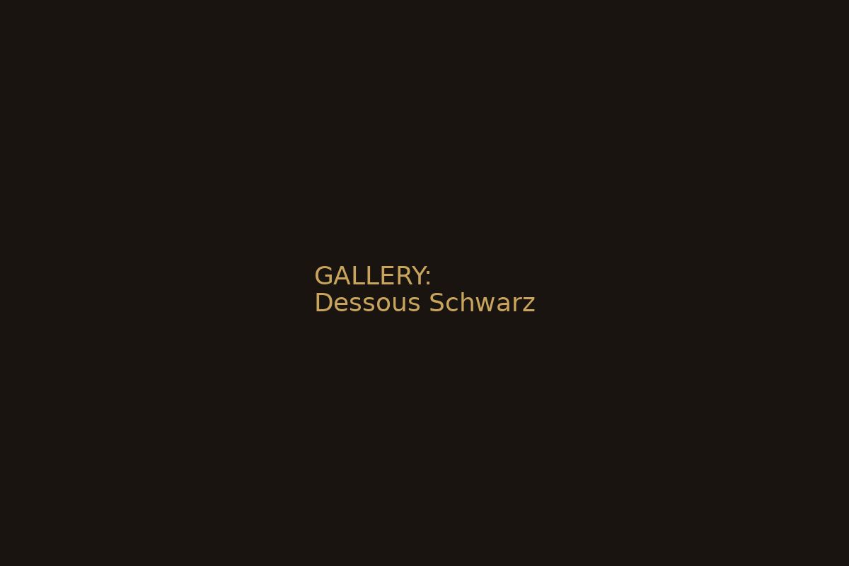 Dessous Schwarz