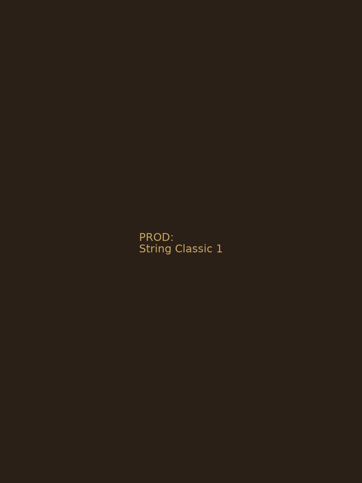 Getragener String — Classic